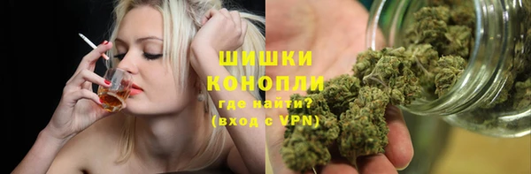 ПСИЛОЦИБИНОВЫЕ ГРИБЫ Корсаков