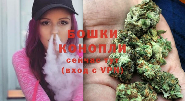 ПСИЛОЦИБИНОВЫЕ ГРИБЫ Корсаков