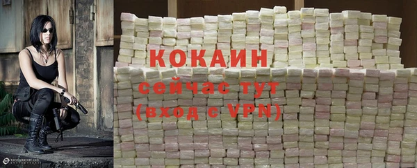 молекула духа Краснослободск