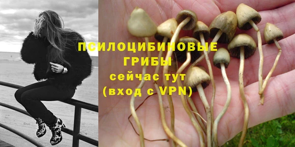 не бодяженный Костерёво
