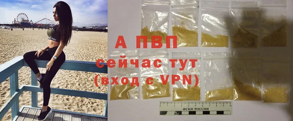 ПСИЛОЦИБИНОВЫЕ ГРИБЫ Корсаков